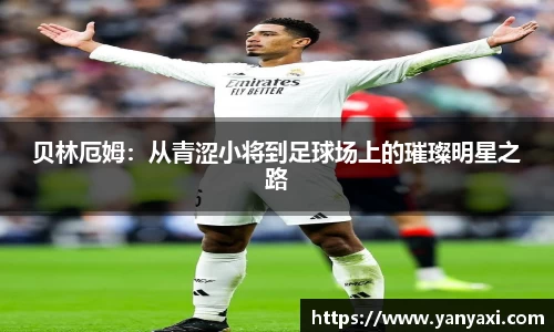 XK体育