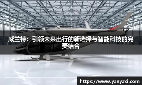 威兰特：引领未来出行的新选择与智能科技的完美结合