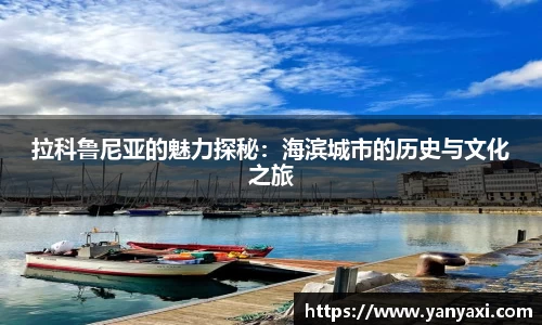 XK星空官网